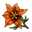 Narancssárga virág.png