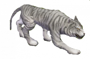 Fájl:Fehér tigris.png