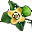 Datolyaszilva virág