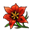 Fájl:Vérvörös virág.png