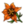 Narancssárga virág.png