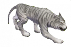 Fehér tigris.png