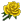 Sárga rózsa.png