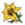 Sárga virág.png
