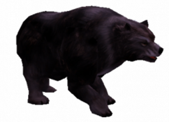Átkozott feketemedve (inváziós).png